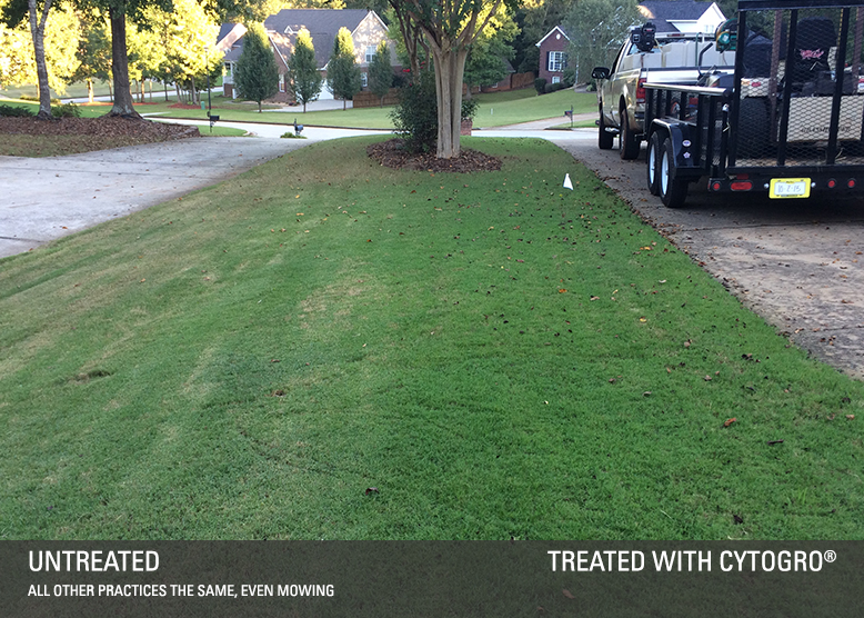 Read more about the article CytoGro for Lawn Care