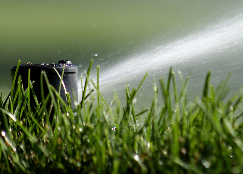 Read more about the article Smart Irrigation Month